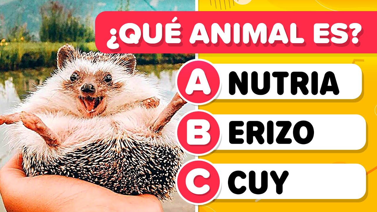 Adivina el animal por la IMAGEN - Nivel Difícil 😱🐙🦔 | Test de zoología | Trivia Cultura General