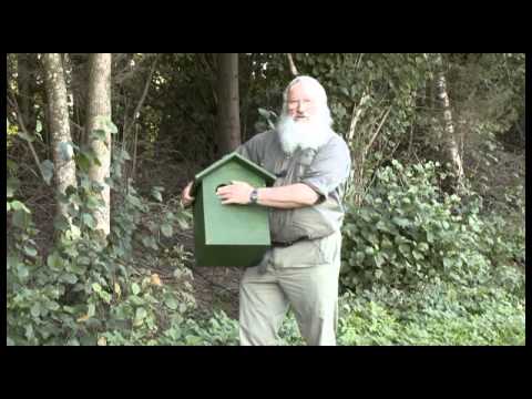 Eichhörnchen-Wohnhaus