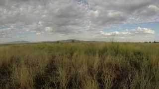 opening morning utah dove hunt part 2