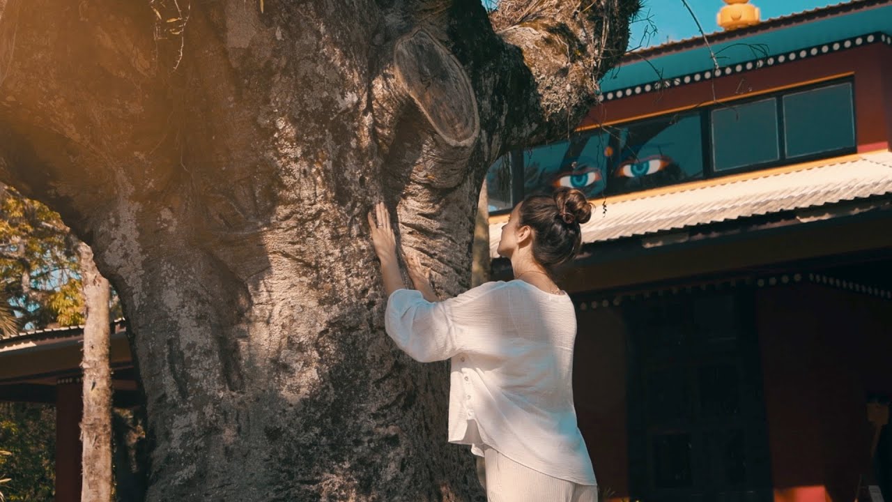 PERDÃO E CURA | Meditação Guiada - Camila Zen