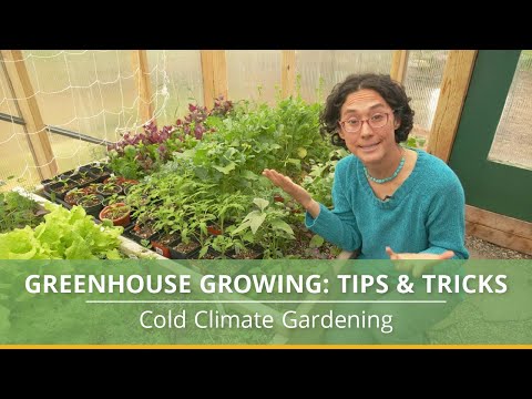 YouTube video about All You Need to Know About Growing Plants in Greenhouses
