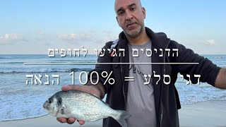 דיג - הדניסים הגיעו לחופים | דגי סלע = 100% הנאה 2025.