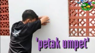 Download lagu Suroboyo Ngakak 'petak umpet' mp3