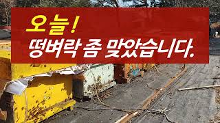 신바람이 난 남부지방의 봄벌보며 쉬었다 가세요.