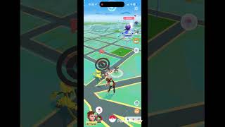 ミニコラッタ #pokemongo #pokemon #ポケgo #ポケモンgo #ポケモン