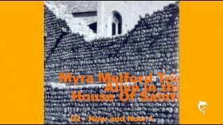Myra Melford Trio - Now and Now 1