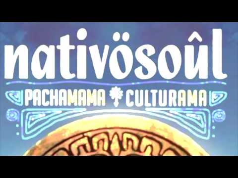 NATIVÖSOUL - Ayahuasca Fix (Lyrics Video)