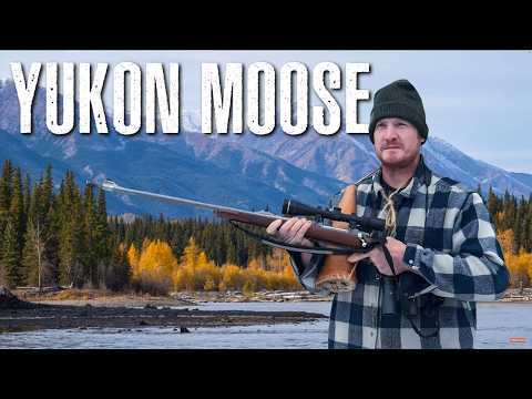 180 Miles Down a Wild Yukon River: 5 Days of Moose, Mountains & Northern Lights