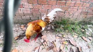 Tốp 3 bé từ 1t2-1t7 @762.8383.34