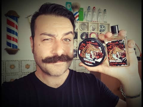 Una Sbarbata con il Drago - Dracaris TFS - Parker 26C