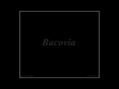 03 zmeu' ninja' - '88 ( Bacovia )