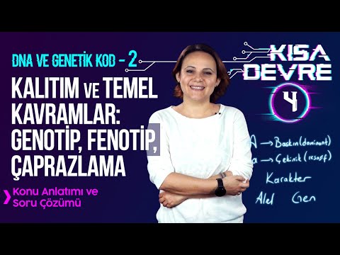 8. Sınıf Fen Bilimleri DNA ve Genetik Kod –2: Kalıtım, Genotip, Fenotip | Lightboard ile Ders #4