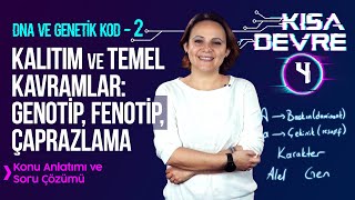 DNA ve Genetik Kod –2: Kalıtım, Genotip, Fenotip, Çaprazlama |Esra Ç. Öğüt #4