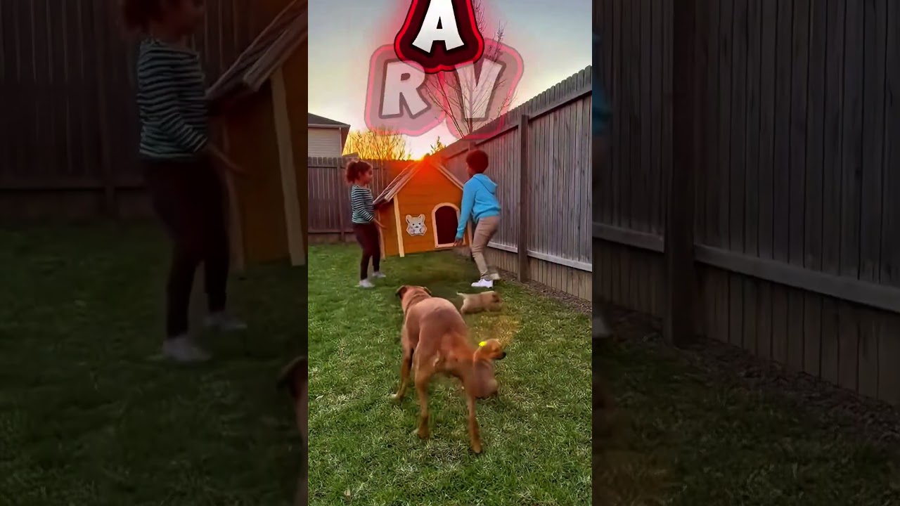 THEY DESTROYED THE DOG’S HOME… THEN DID THIS