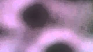 Pray for a better day