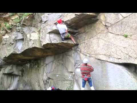 Catarare - Greci - Dobrogea - PESTISORUL DE AUR - 3M