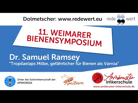 Dr. Samuel Ramsey: "Varroa ernährt sich vom Fettkörper und nicht von Hämolymphe"