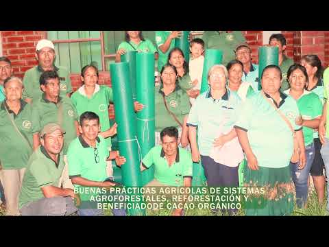 Memoria de Proyecto: Buenas Prácticas Agrícolas y Cacao Orgánico en Alto Beni (PIAF - EL CEIBO)
