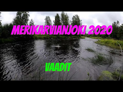 Merikarvianjoki 2020 | Vaadit | Kalastus 2020