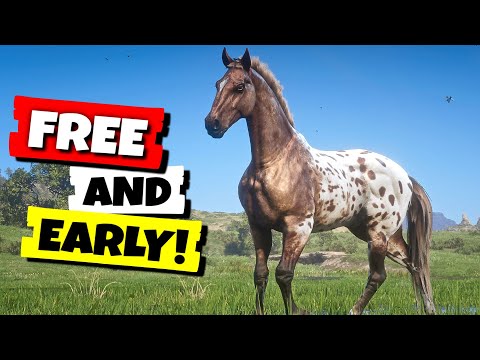 RDR2 - Get This Beautiful and Rare Horse Early and Free! (Leopard Blanket Appaloosa Location)