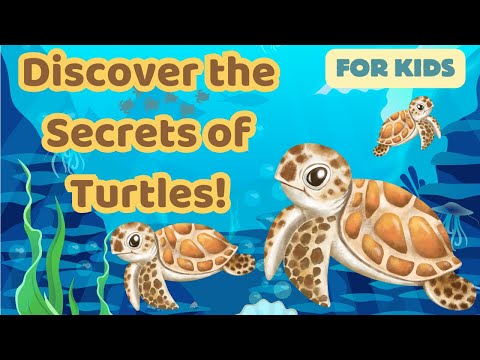 WOW! Fun Turtle Facts Kids Need to Know 🐢✨| Discover the Incredible World of Turtles