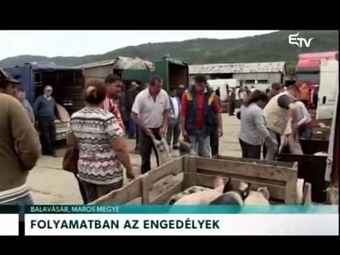 Híradó 2015. június 30. – Erdélyi Magyar Televízió