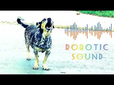 Dogs Barking at Stranger [ROBOTIC SOUND]