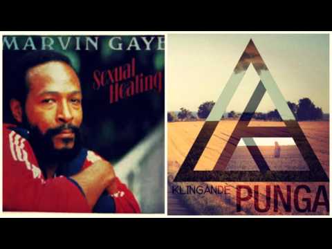 Doltry - Sexual Punga (Marvin Gaye X Klingande)