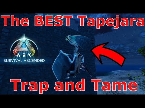 Ark Survival Ascended Tapejara Taming, Ark How to tame Tapejara, Ark Tapejara Trap