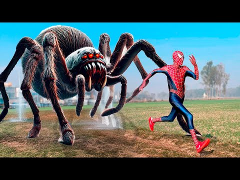 Spider-Man and the Giant Spider (Spider-Man Cartoon) Spider
