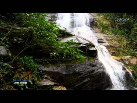download lagu mp3 mp4 Dubois Jardin, download lagu Dubois Jardin gratis, unduh video klip Dubois Jardin