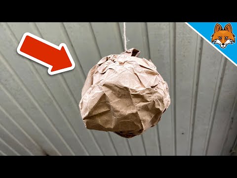 Hänge DAS auf und STAUNE WAS PASSIERT 💥 (Genialer TRICK, MUSST du kennen) 🤯