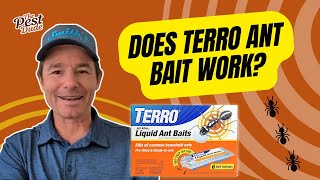 Does Terro Ant Bait Work