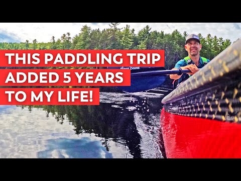 Solo Wilderness Camping Trip  | Canoe Camping in Algonquin Park