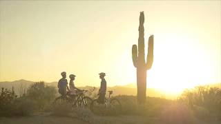 Options in Phoenix