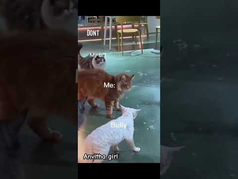 I will protect my friends no matter what #trending #anvitha #fun #edit