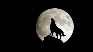 Alessandro Capoccia DJ & Roby Zeta feat  Lady Anne - The Night Wolf