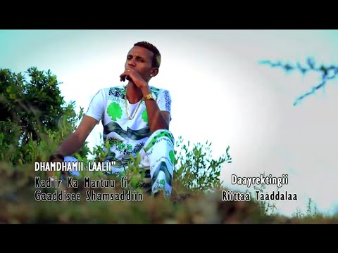 Kadir Martu ft. Gadise Shemsedin - Dhandhamii Laali **NEW** 2016 (Oromo Music)