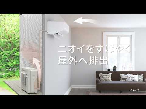 エアコン 2023年 Eolia（エオリア）LXシリーズ クリスタルホワイト CS-LX563D2-W [おもに18畳用 /200V]