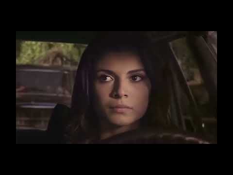 l'onore e il rispetto ultimo capitolo