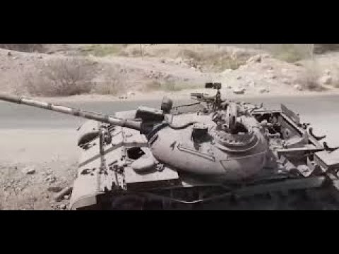 The Tigray defense force structure and operations