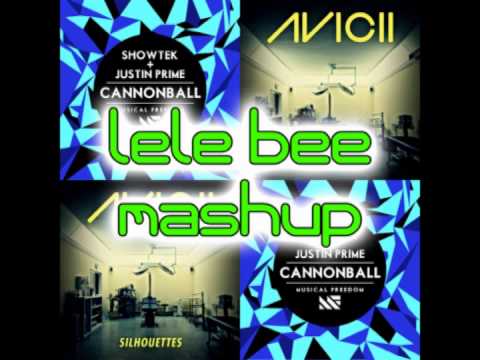 (LeLe Bee Mashup) Avicii vs Showtek - Silhouettesball