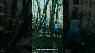 Download lagu Garis Waktu - Fiersa Besari | WA Story mp3 Download lagu Garis Waktu - Fiersa Besari | WA Story mp3