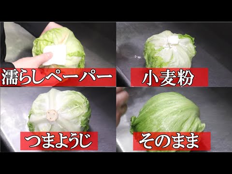 レタスの冷凍: それは可能ですか?可能ならどのようにすればよいですか? トピックス