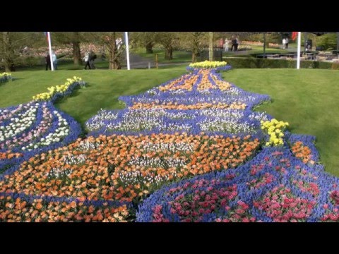 Сад цветов Кекенхоф, Нидерланды (Keukenh