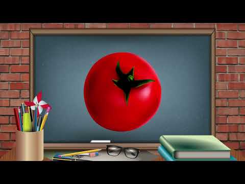 Guess What Food This Is? #009