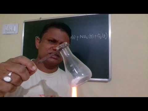 Decomposition of Pb(NO3)2