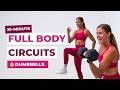 35 Min Full Body Circuit Workout Strength And Conditioning Time Drop Format