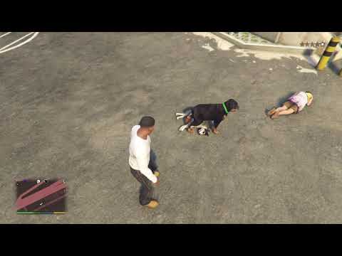 CHOP fights Karen's DOG [Dogfight] | GTA 5