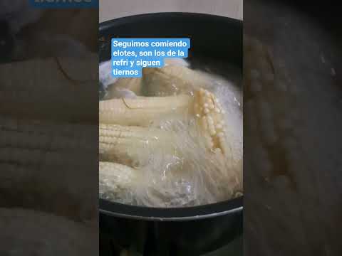 ELOTES DE LOS AMATES IZABAL #claudiaeternaprimavera #guatemala